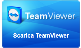 teamviewer qs